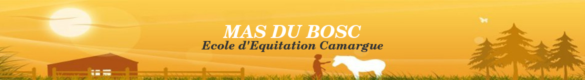 MAS DU BOSC